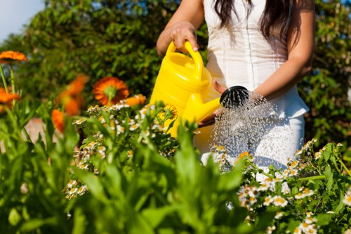Gardener performing seasonal maintenance on a residential lawn in Sanderstead