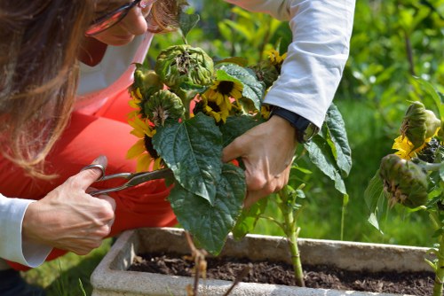 Supervisor reviewing safety checklist with gardening crew